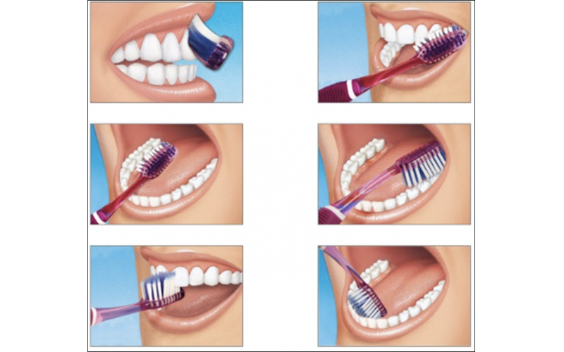 4 Types Of Brushing Technique